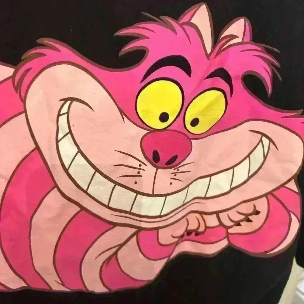 Disney Cheshire Cat women’s sweatshirt size Large - Picture 3 of 4